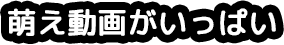 萌え動画がいっぱい