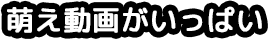 萌え動画がいっぱい