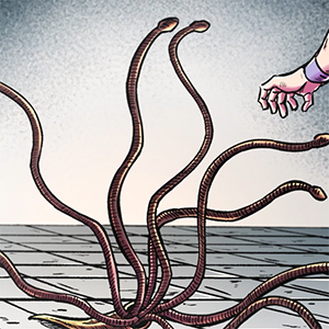 未知の生物（カブトノツノモドキ）